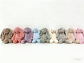 Personalized Bunnies